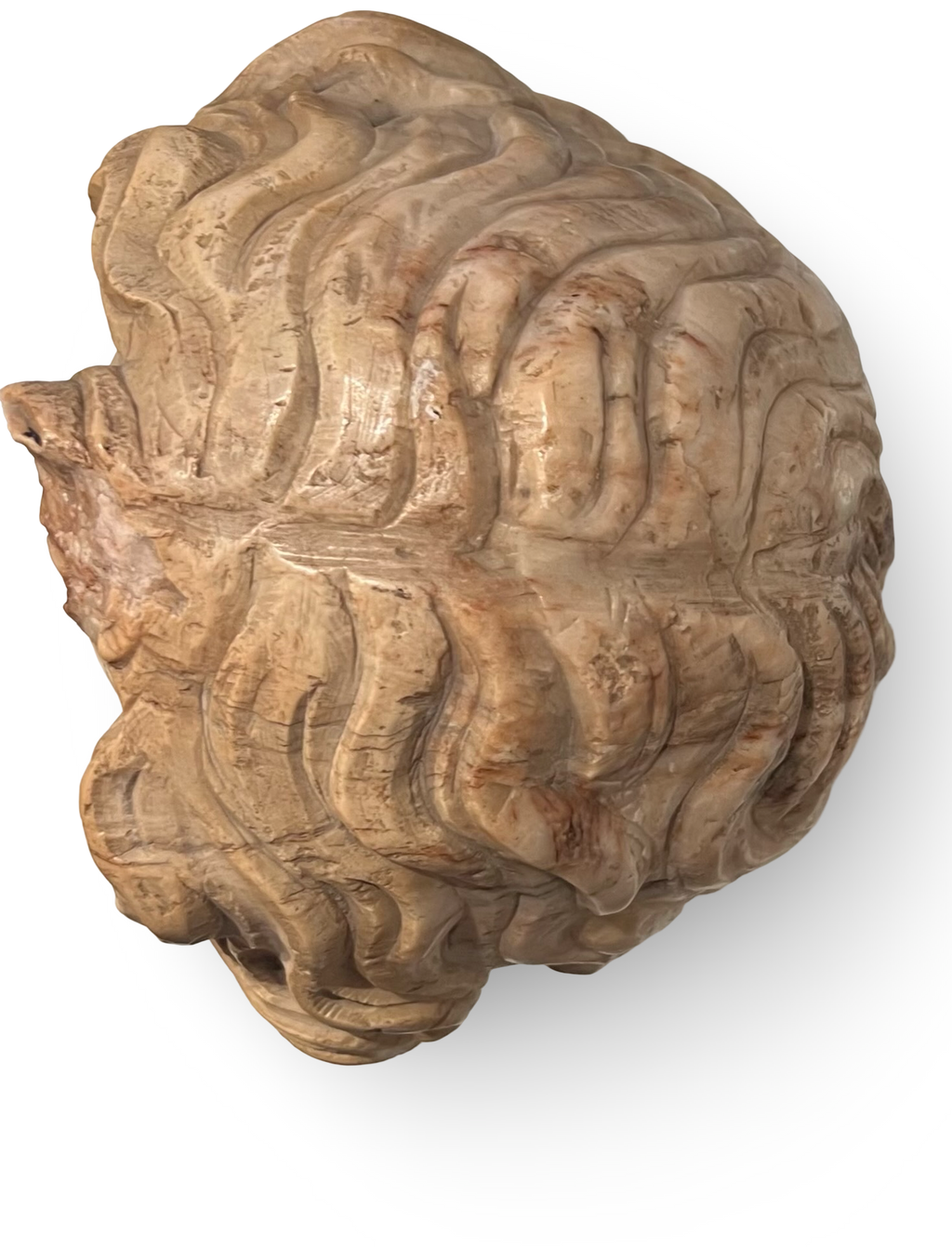 Antiek marmeren hoofd van een jongeling – Neoklassiek / Renaissance Revival – 19e eeuw