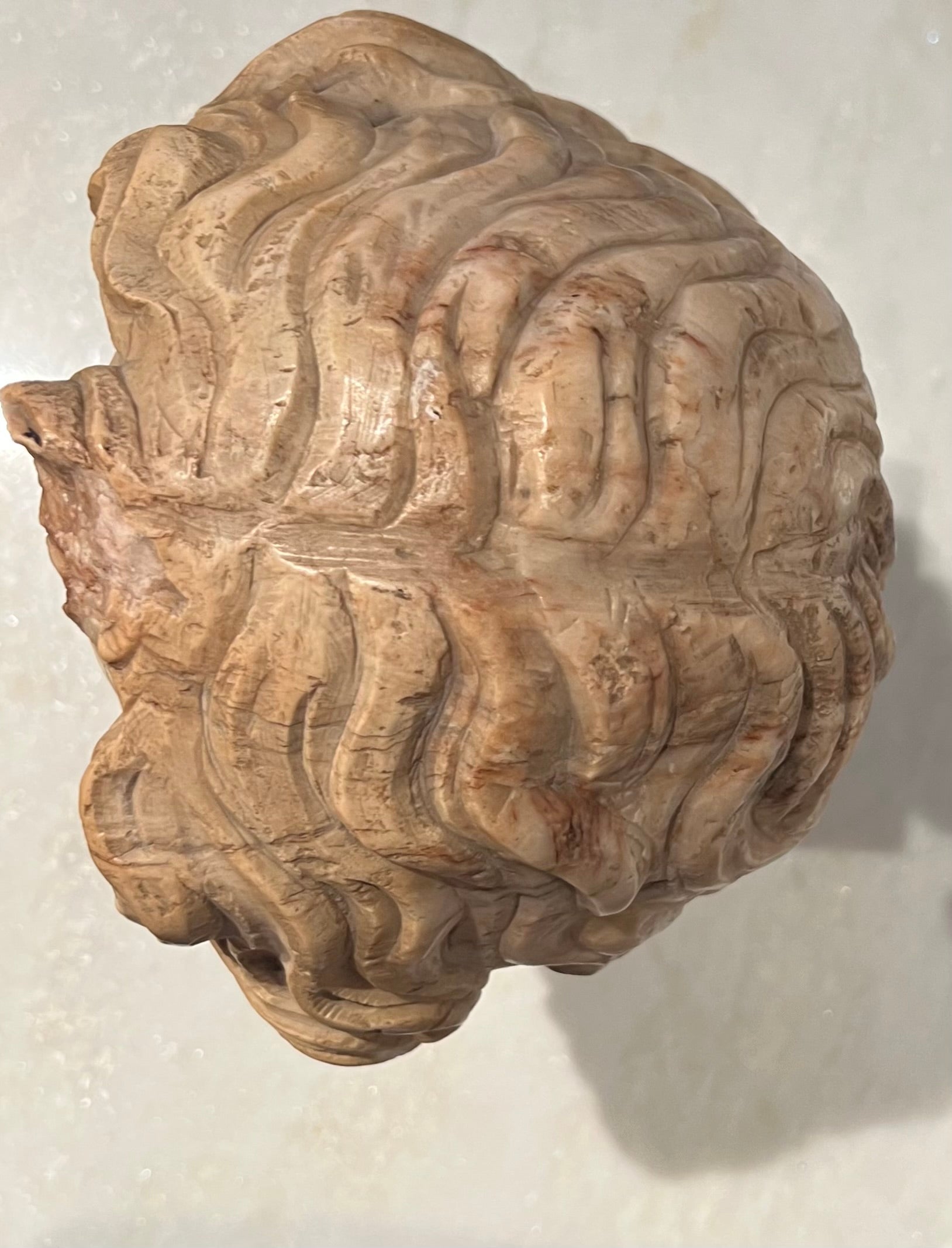 Antiek marmeren hoofd van een jongeling – Neoklassiek / Renaissance Revival – 19e eeuw