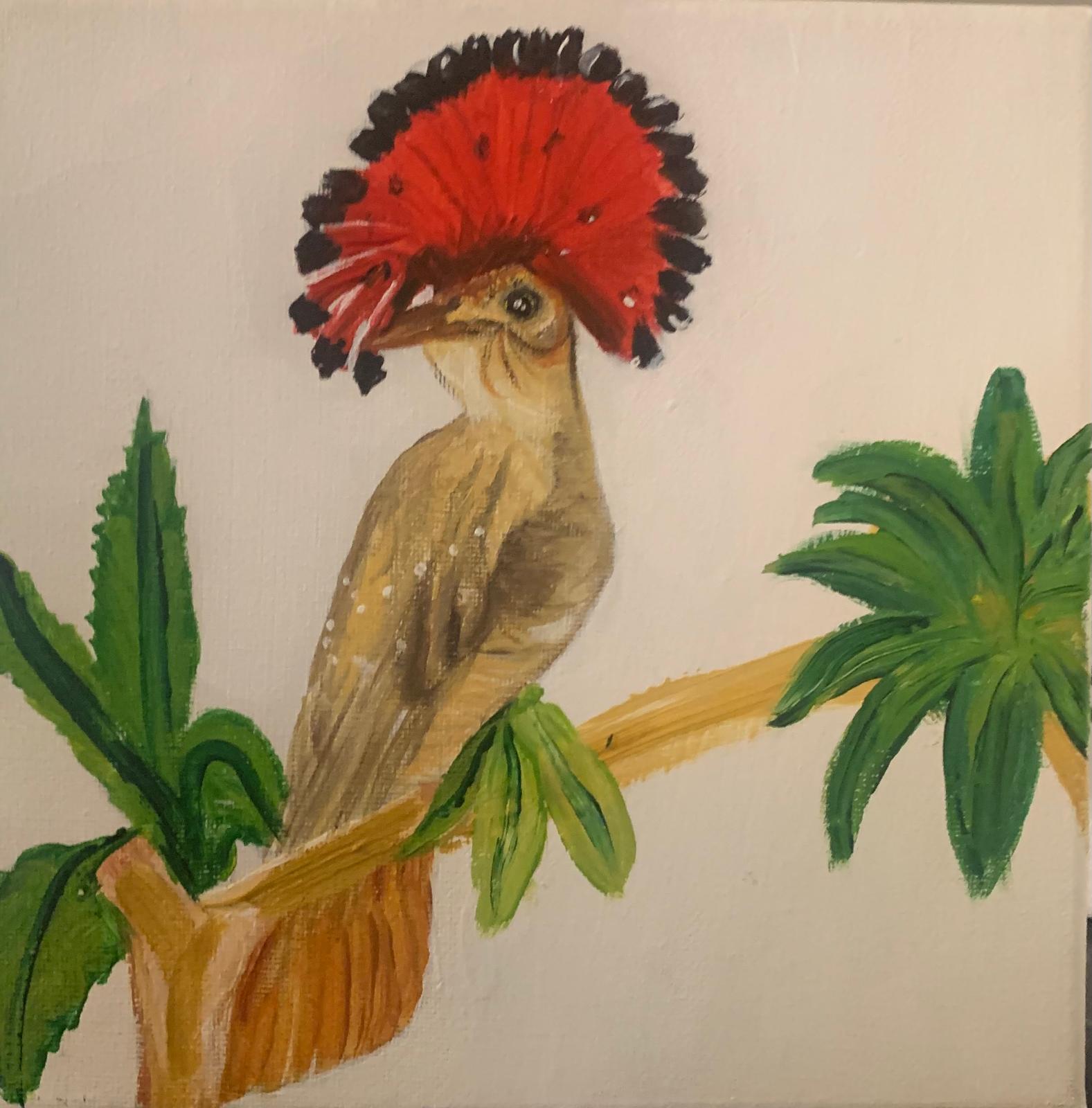 Bird Collection by Brigitta Vaneylen