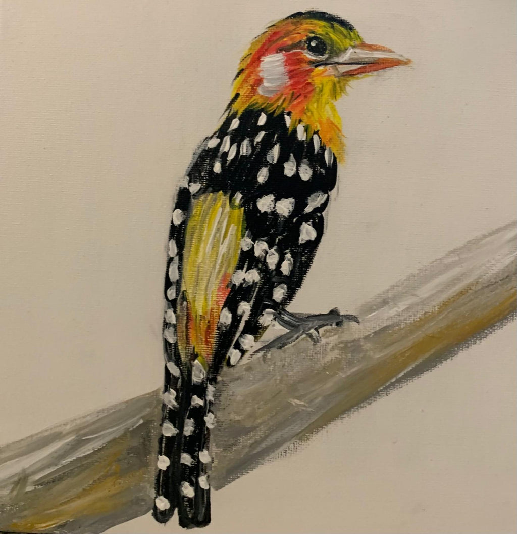 Bird Collection by Brigitta Vaneylen