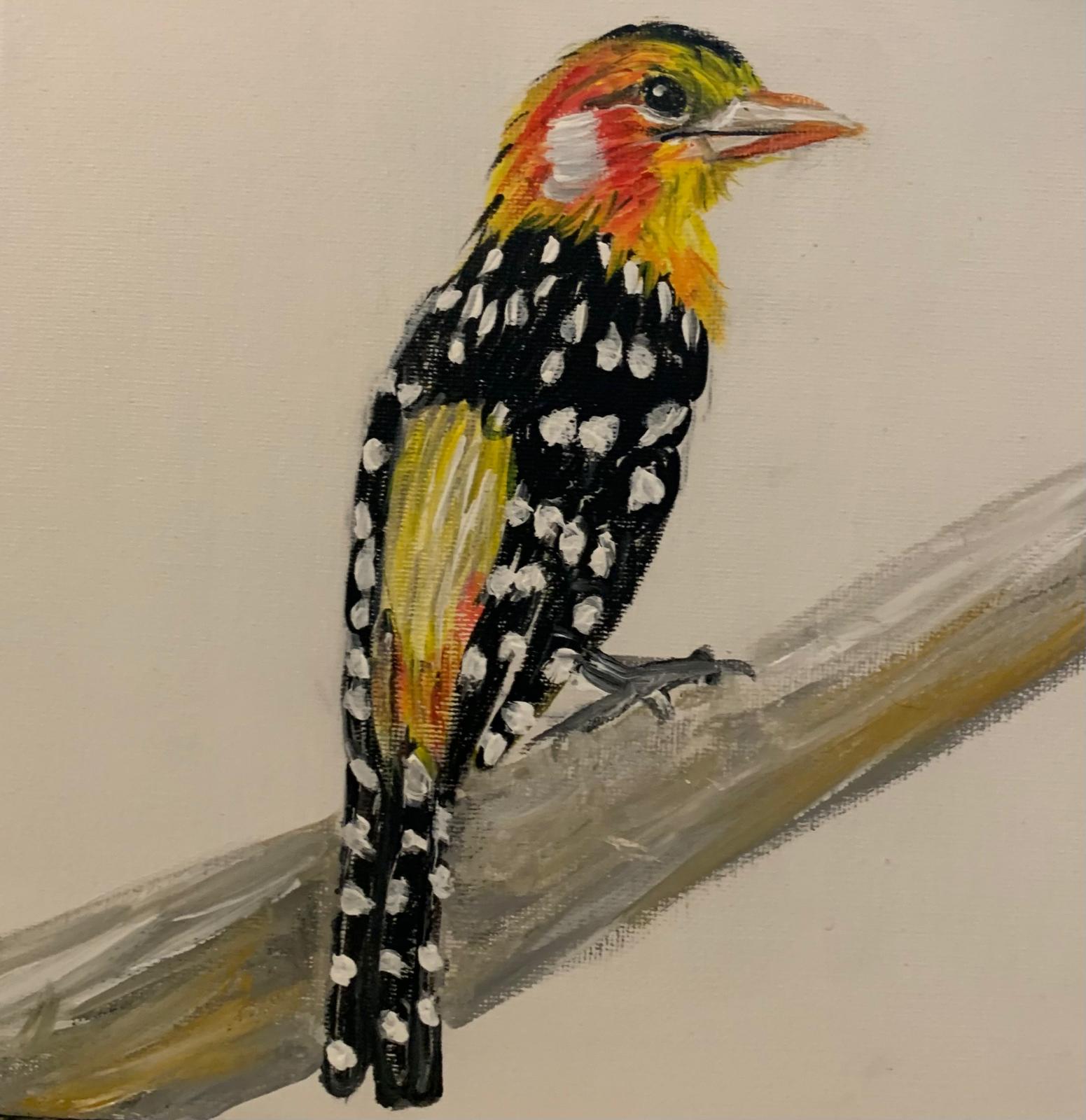 Bird Collection by Brigitta Vaneylen