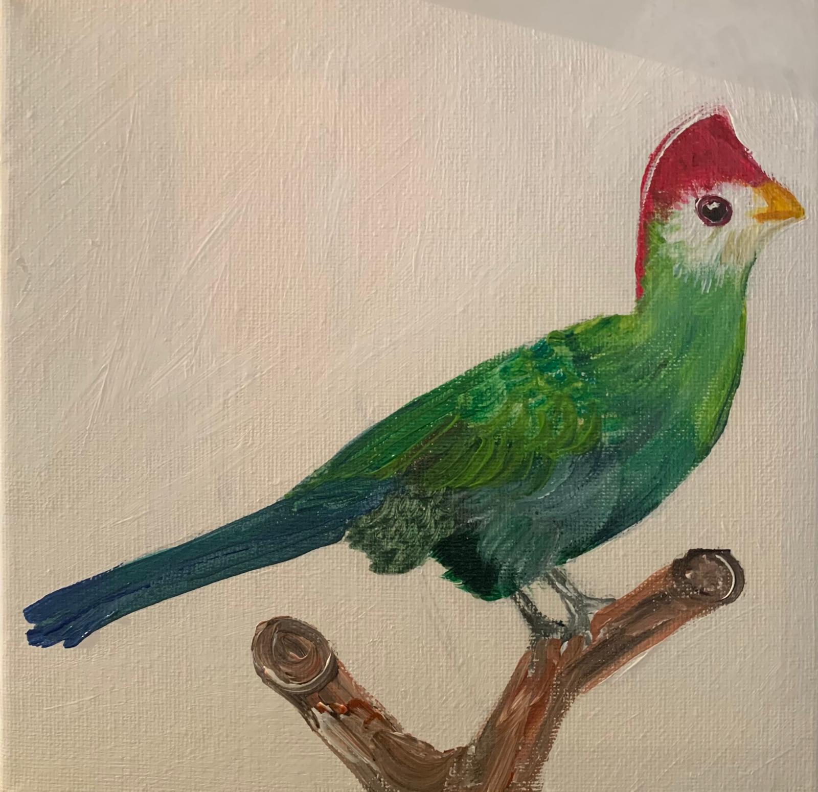 Bird Collection by Brigitta Vaneylen