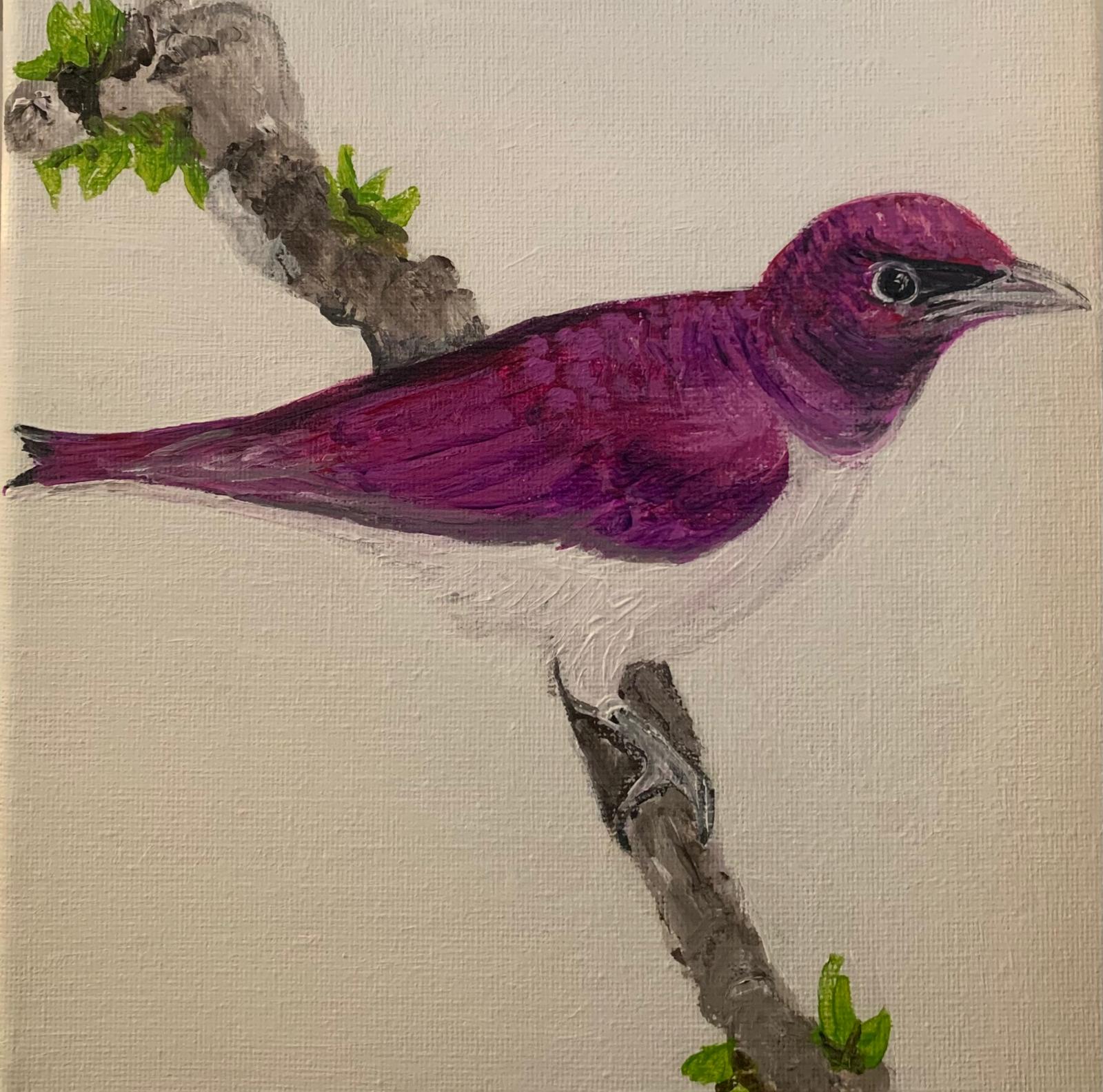 Bird Collection by Brigitta Vaneylen