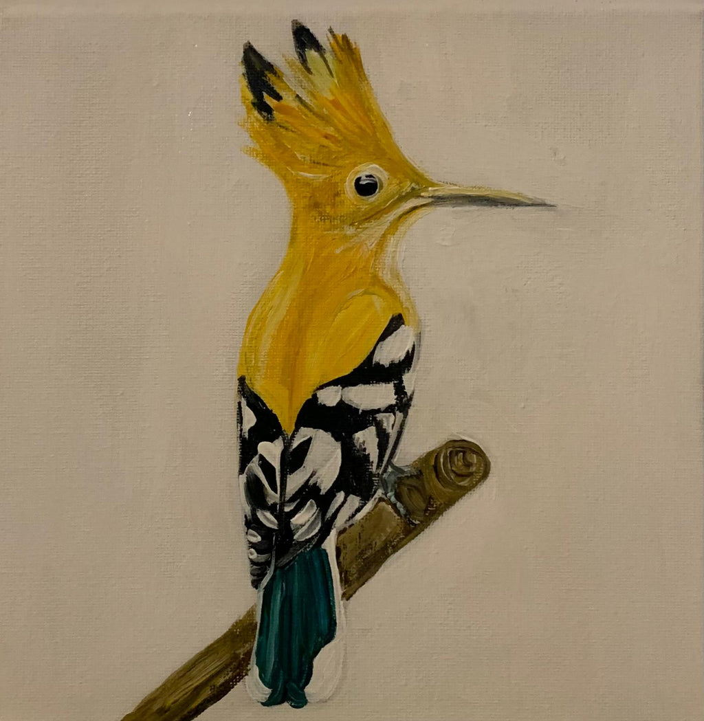 Bird Collection by Brigitta Vaneylen