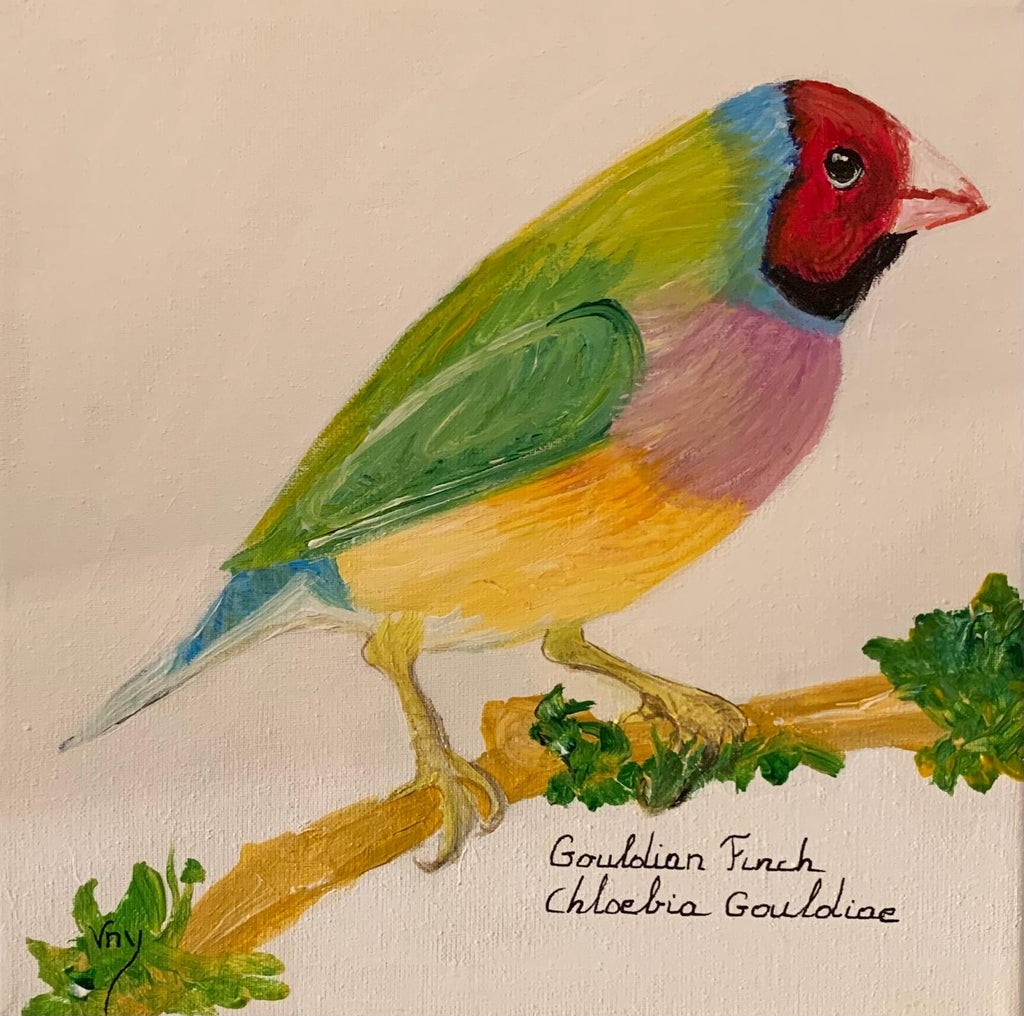 Bird Collection by Brigitta Vaneylen