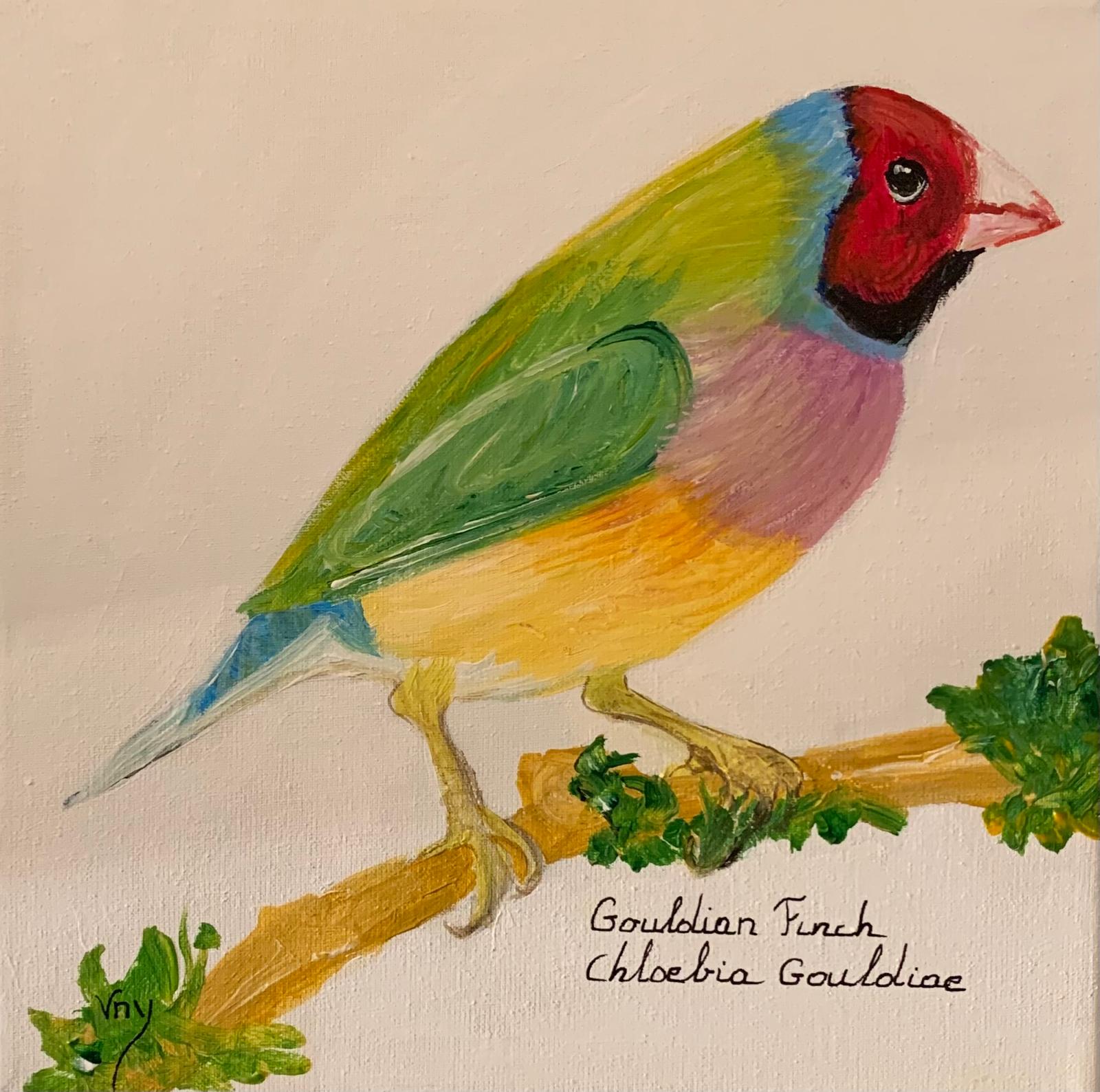 Bird Collection by Brigitta Vaneylen