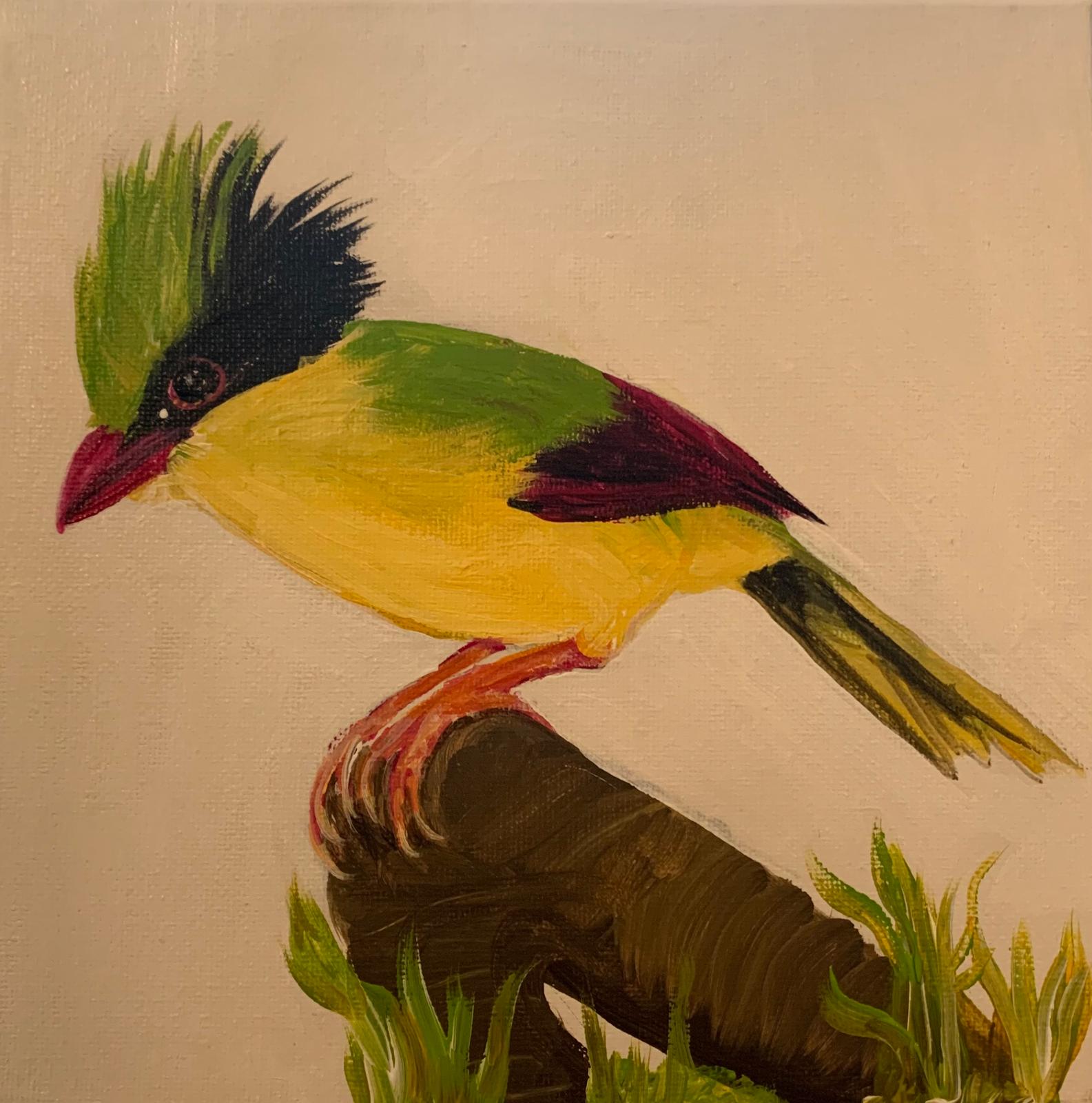 Bird Collection by Brigitta Vaneylen